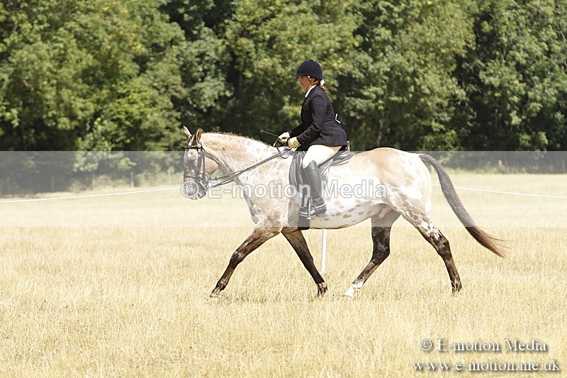 _BS_0747 - BVRC Show 2018 Ring 1