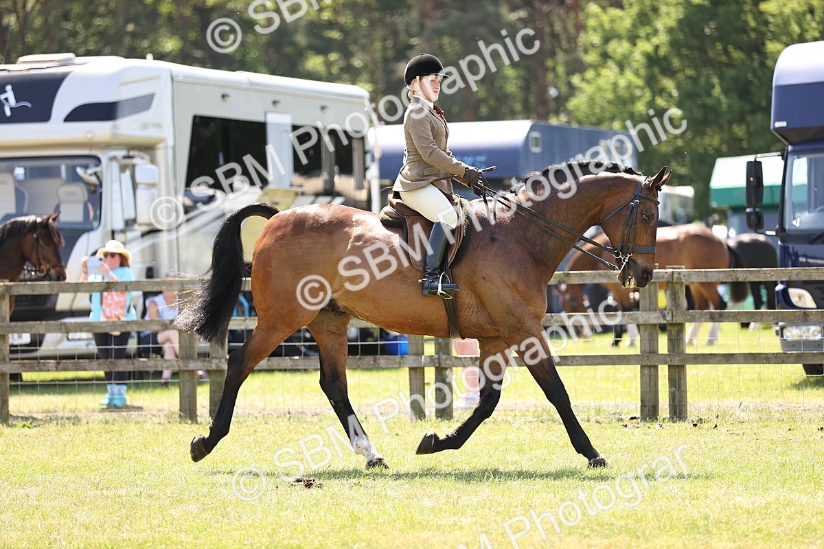SBM_17699 - Class 81-83 - TSR Ridden Amateur of the Year - Horses