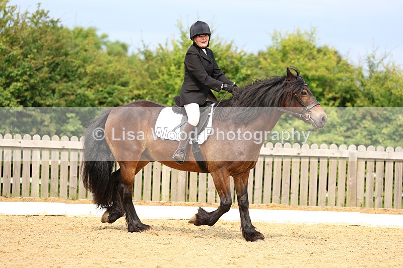 3E7A9072 - Class 2: Intro 1 2024 Section B