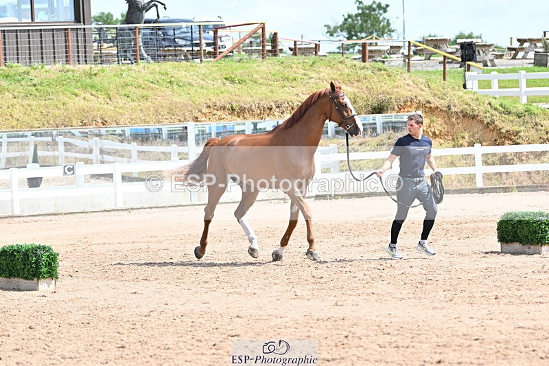 240717A-145847-02386 - Trot Up 2pm to 3pm - This folder is not in time order