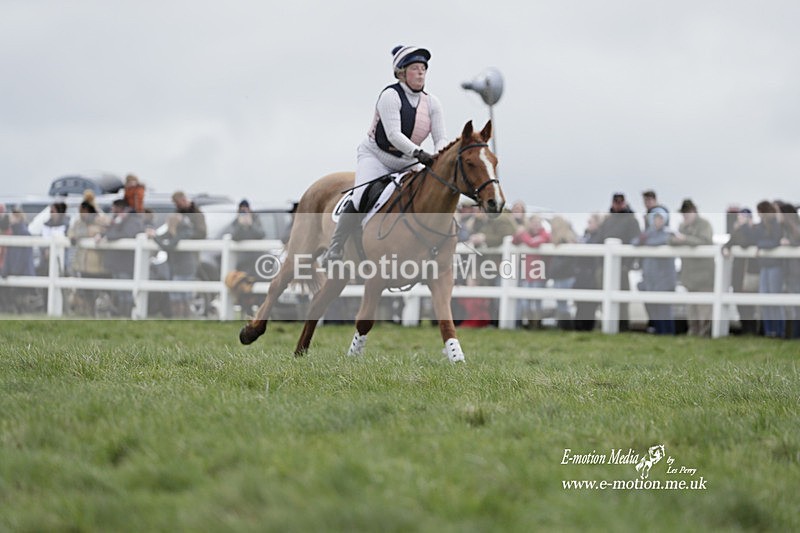 PtP 260323 0293 - New Forest Hounds Point-to-Point Larkhill 26/03/23