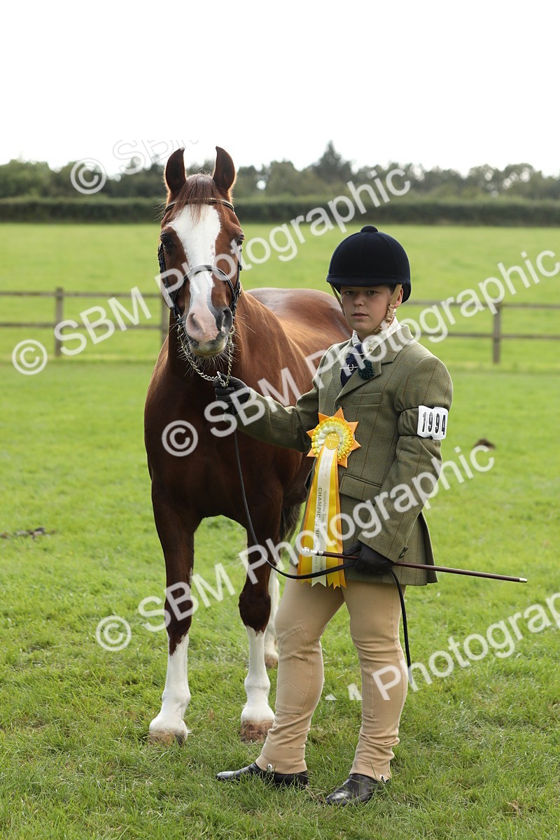 SBM_65525 - S47 - Mountain & Moorland In Hand Large Breeds