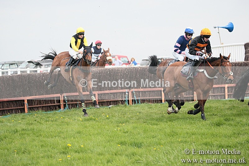 PtP 210418 341 - South & West Wilts Point-to-Point Larkhill 21/04/18