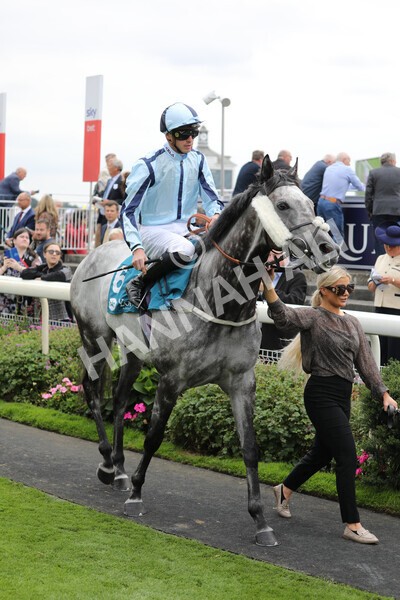 yr18082022r3-7 - Race 3 3.00pm Clipper Logistics Stakes