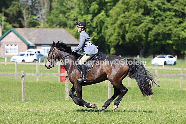 IMG_4535 - Working Hunter