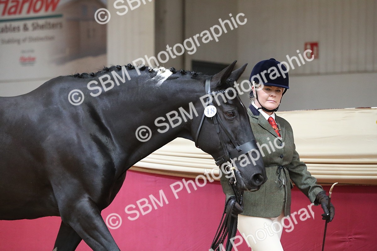 SBM_06219 - Class 9R Regional- IH Pre Vet