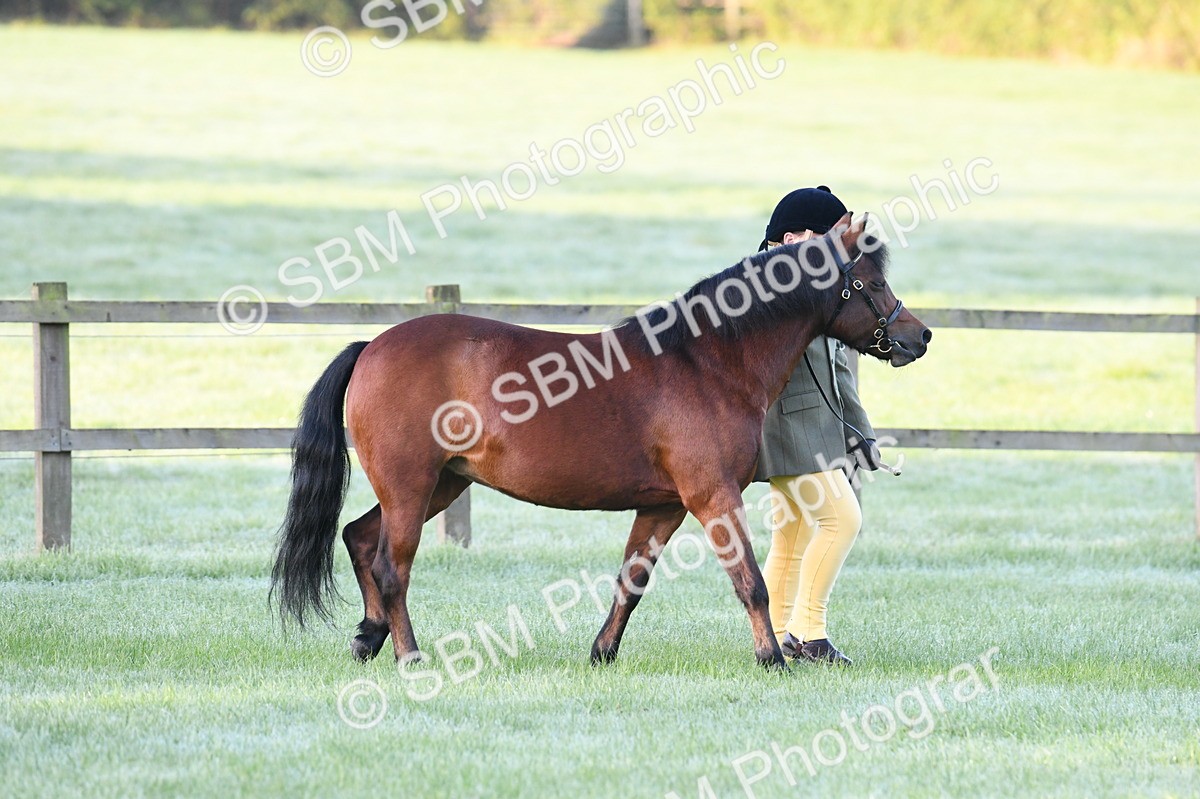 SBM_32415 - S15 - Condition & Turnout In Hand