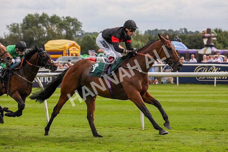 240724-Race 4-Swinging Eddie-3523 - Race 4