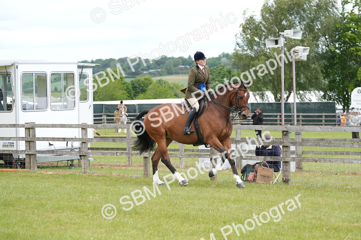 SBM_00008 - Class 100-102 - RIHS Working Hunter