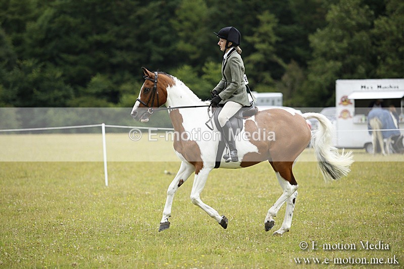 BVR160717-310 - Ring 1 BVRC Show 16/07/17