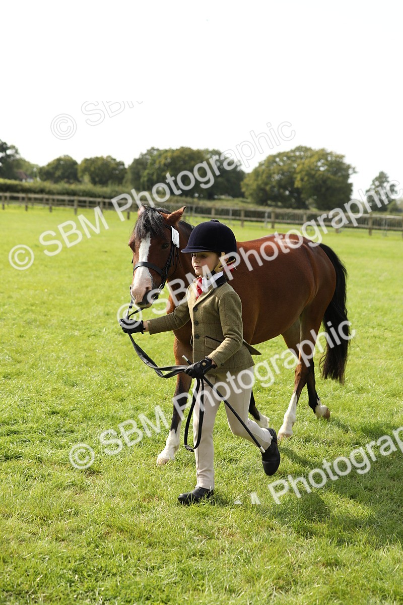 SBM_67759 - S39 - Junior Handler 8  Years & Under