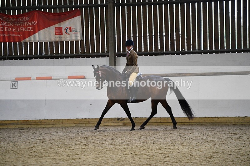 WJ5_8930 - Class 15 Ridden Show Horse