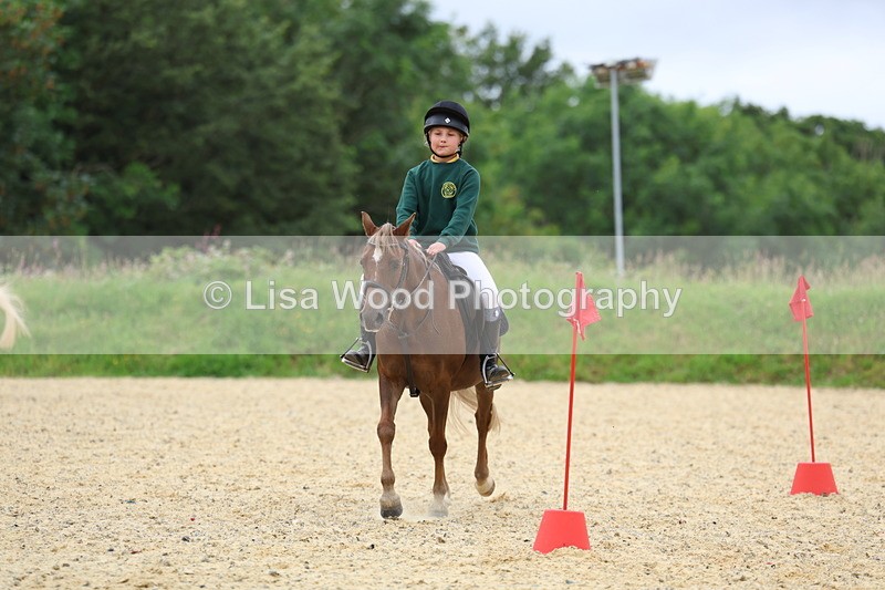 3E7A9599 - Walk trot run