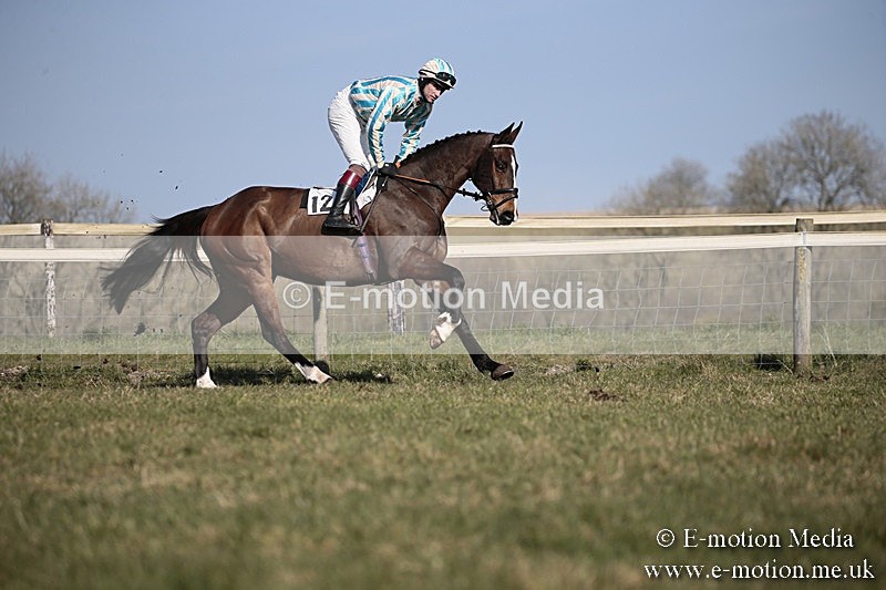 PtP 240218 233 - Vine & Craven Hunt Point-to-Point Barbury racecourse 24/02/18