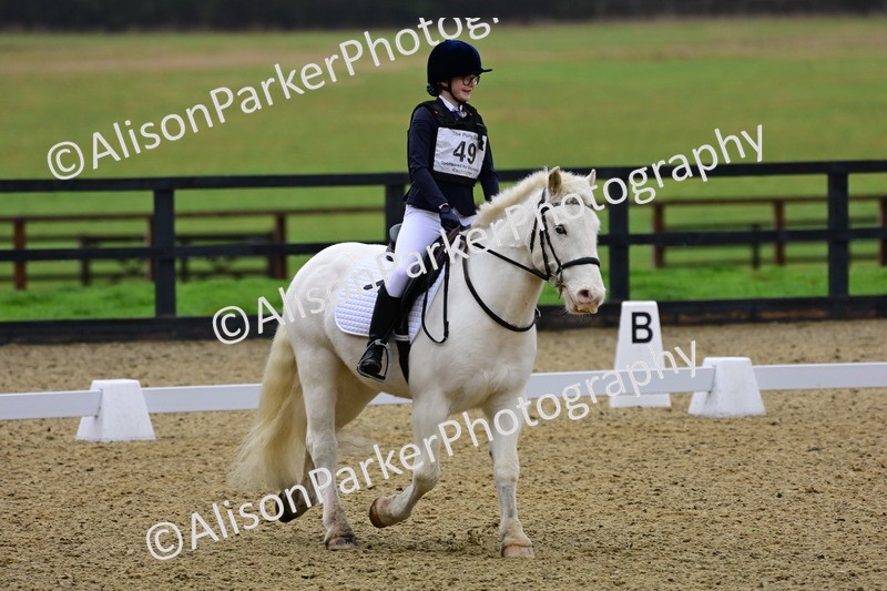 20260125-0589 - Class 9b - Walk Trot Unassisted