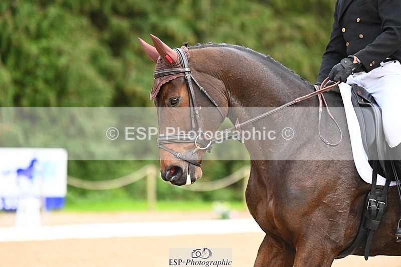 231020-144555-10349 - 210-TREGARON-Gubby.Leech-DR