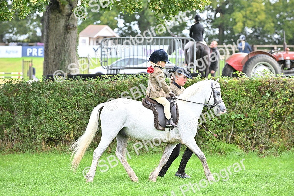 SBM_40138 - S20 - Lead Rein Mountain & Moorland Pony