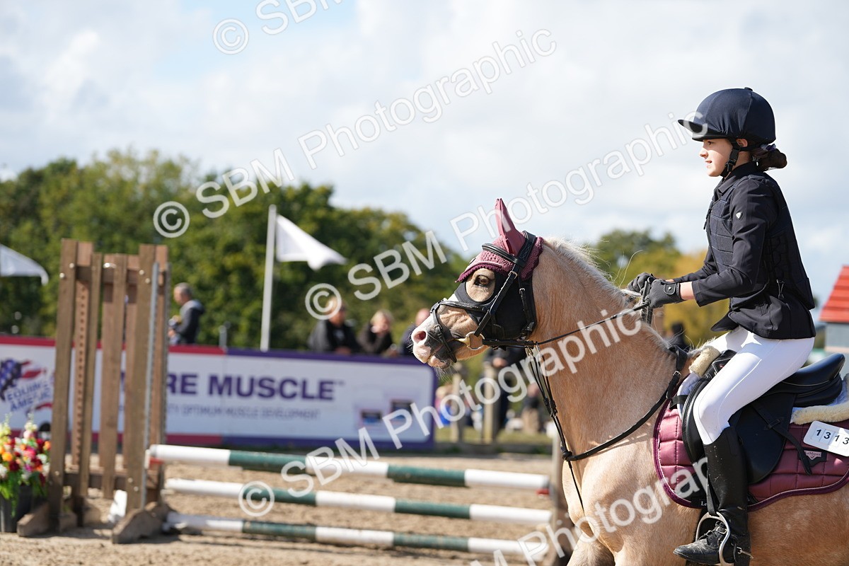 SBM_46680 - J7 - Junior Pony 60cm Championship