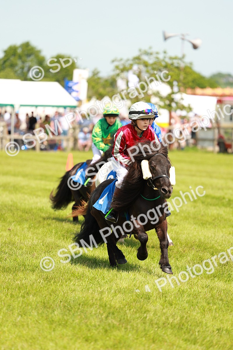 SBM_04635 - Shetland Grand National