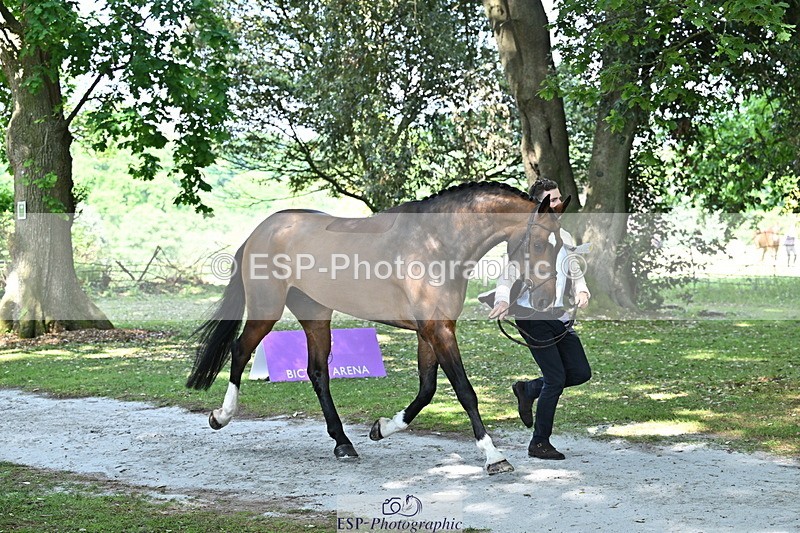 250521A-154817-00772 - B-367-Tom.Grant-QUID