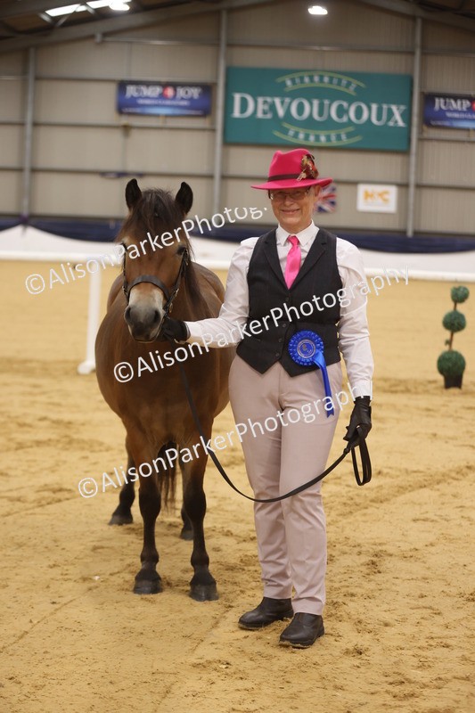 20260913-1073 - Class 109 - Bred On Exmoor In Hand