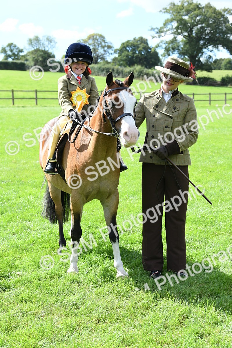 SBM_41268 - S19 - Lead Rein Show & Show Hunter Pony
