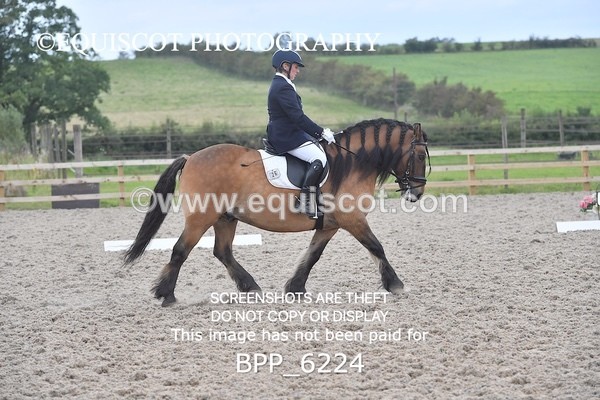 BPP_6224 - ELEMENTARY TEST 4 LONG ARENA