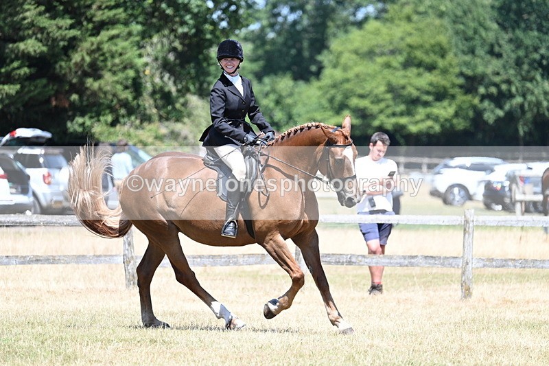 WJ7_3020 - Class 7 Riding Club Show Horse