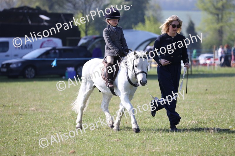 20250427-0139 - Class 30 - Tiny Tots Lead Rein