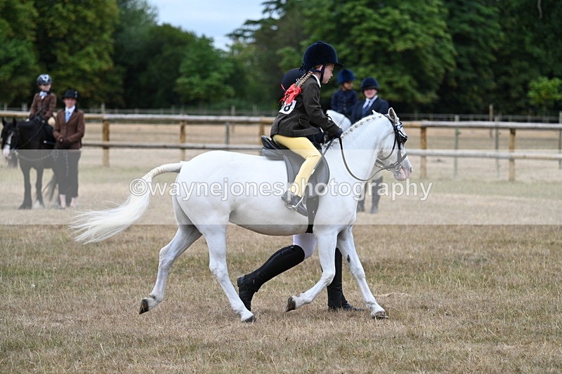 WJ7_6579 - Class 1 Lead Rein Pony