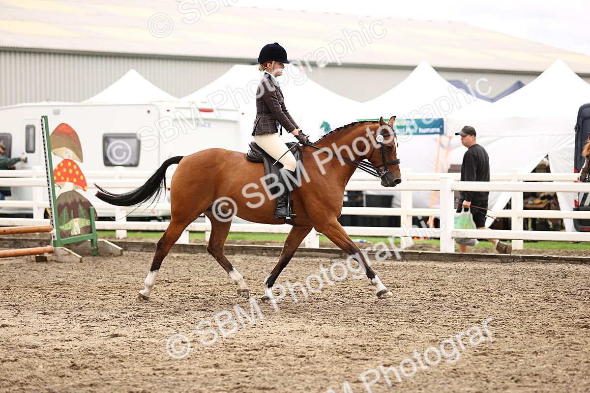 SBM_00539