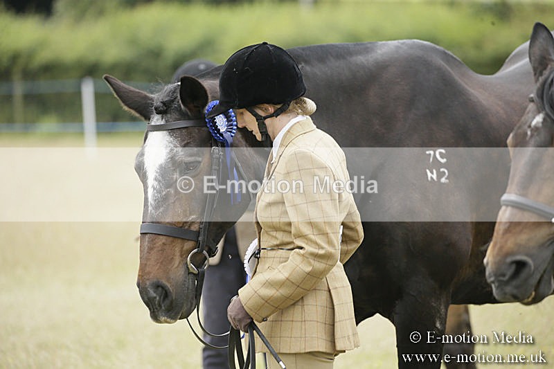 B230619-0596 - Bourne Valley Riding Club Summer Show 23/06/19