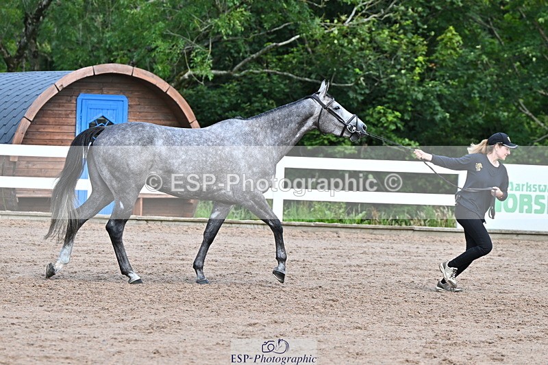 240718A-105252-01262 - Trot Up 12pm to 1pm