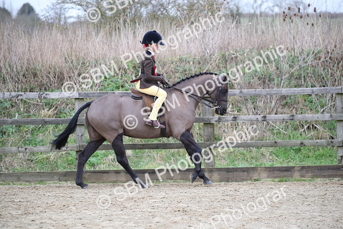 SBM_004691 - Class 5-9 - NPS In Hand-Show Hunter-Intermediate Ridden Inc Ridden Championship