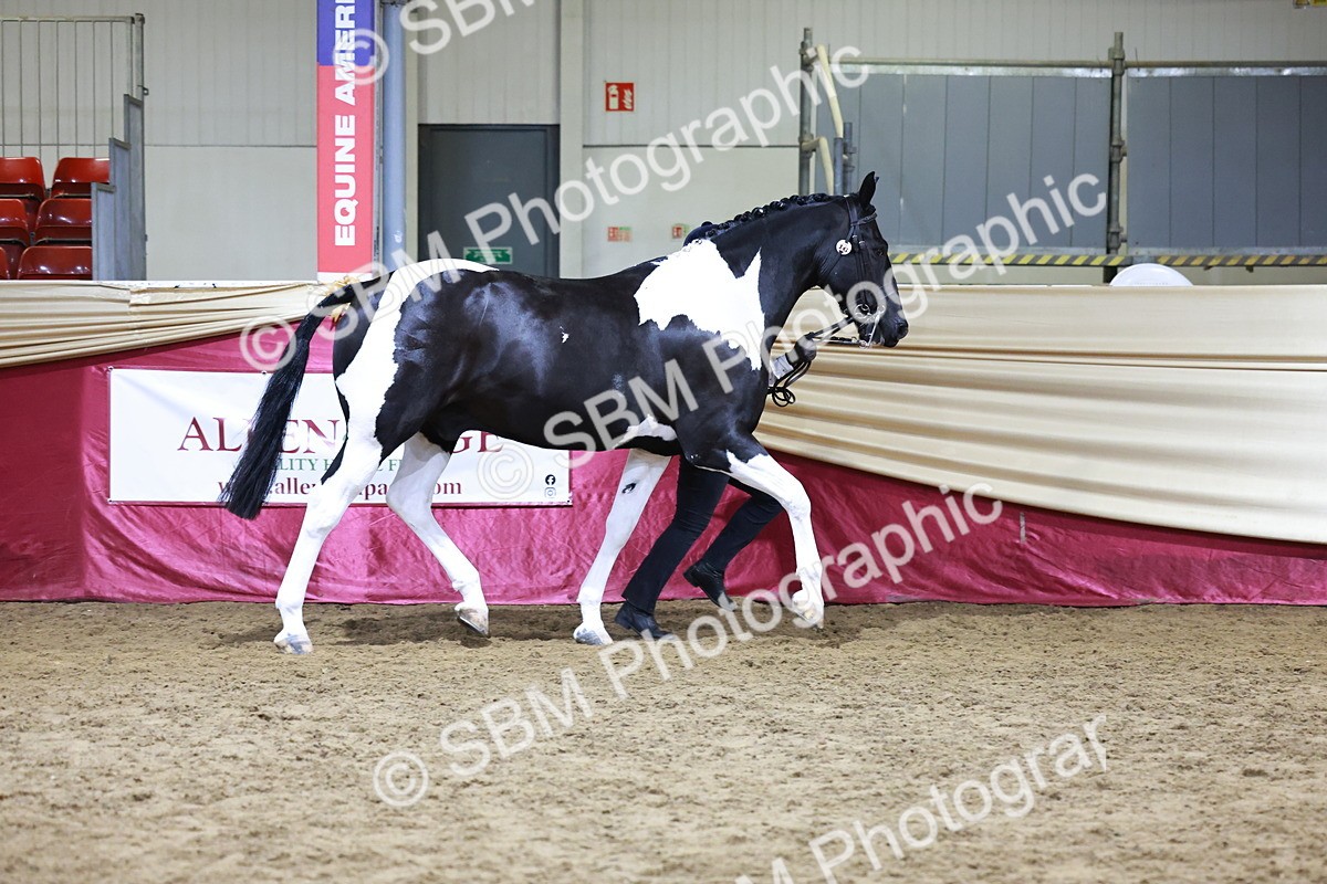 SBM_20822 - Class L - Coloured Champ