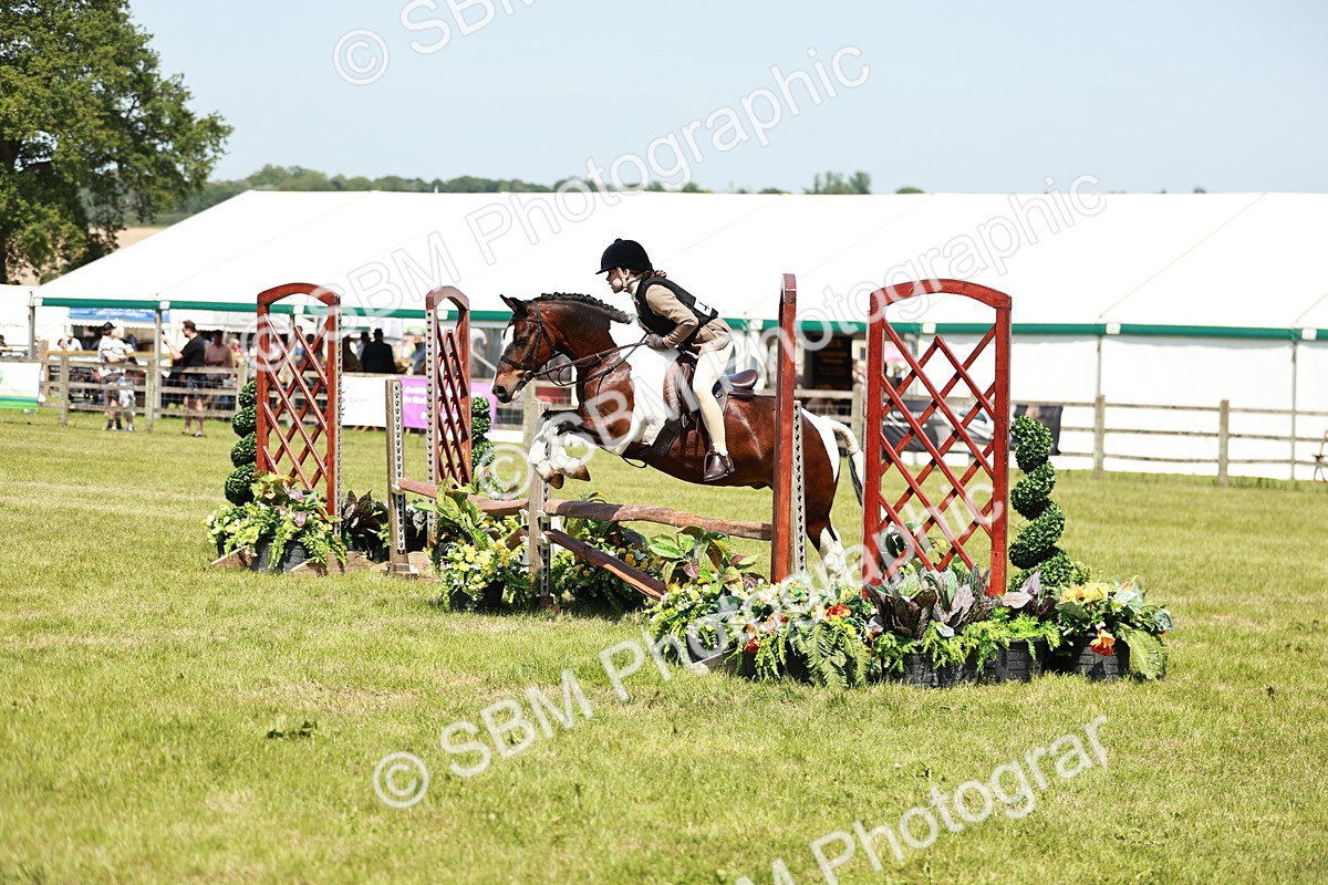 SBM_16356 - Class 110-111 - Training Stakes (70cms 80cms)