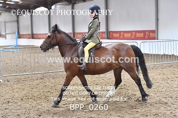 BPP_0260 - RING 1
