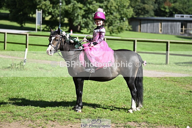 240728B-094439-00109 - Sunday Stable Shots and Fancy Dress