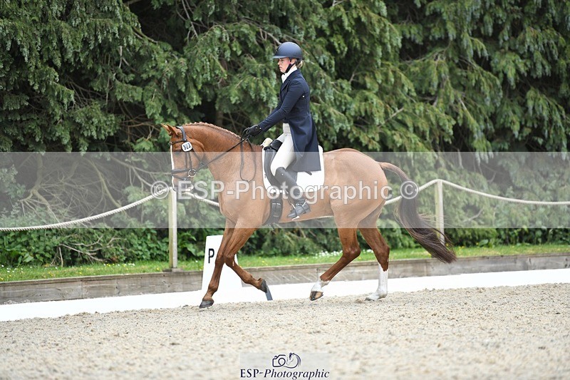 230525-144548-03171 - 323-CHESTNUT_BOBBY-Molly_Fletcher-WEDTrotUp+DR