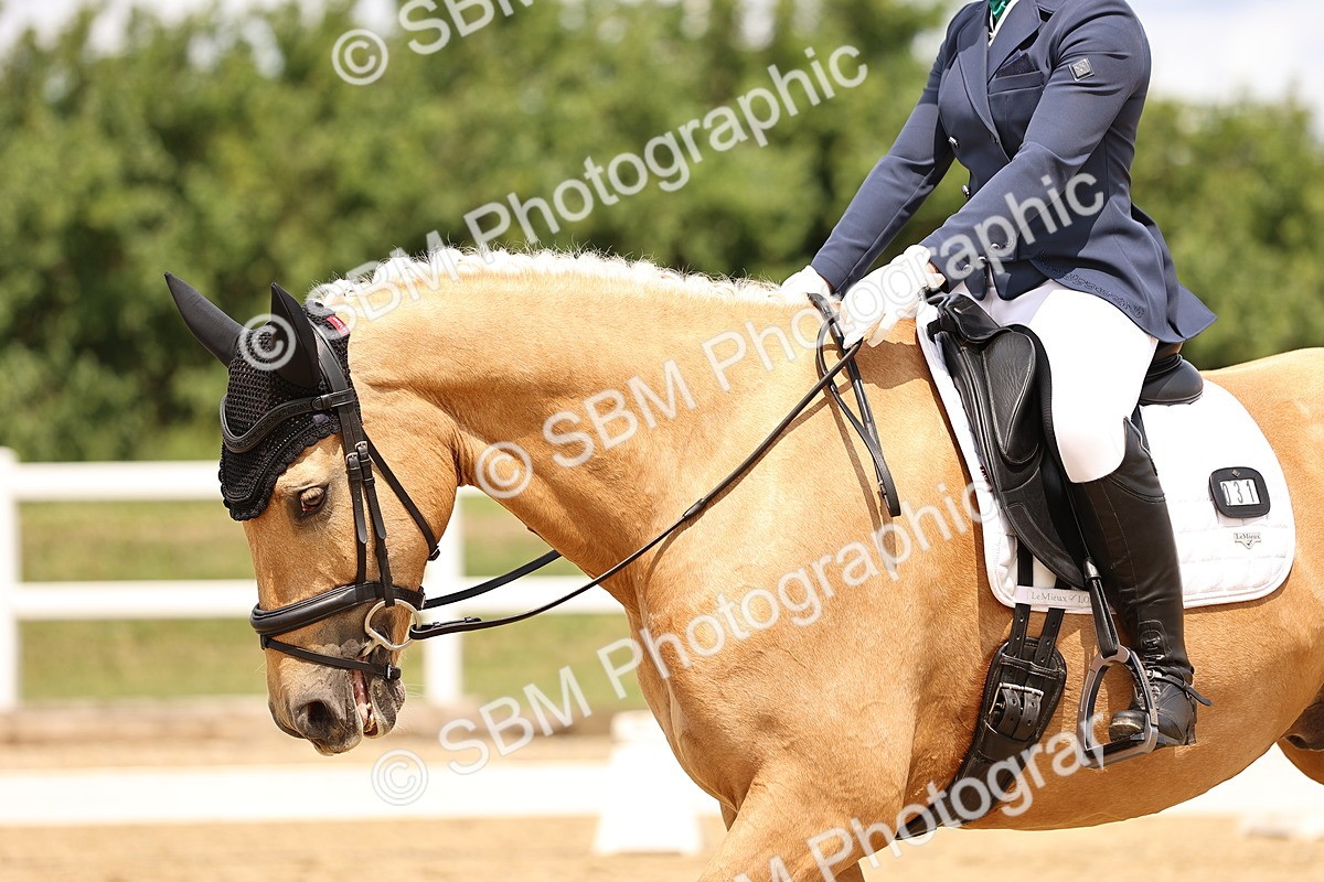 SBM_002998 - Class 2 - Novice 4 - 12.00-13.10