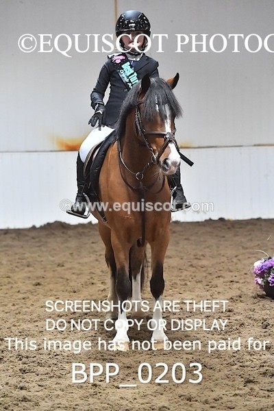 BPP_0203 - CLASS 3 40CM