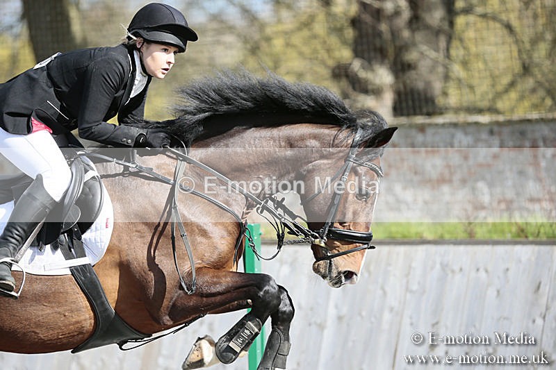 BVRC SJ 170319 434 - Bourne Valley Riding Club Showjumping 17/03/19
