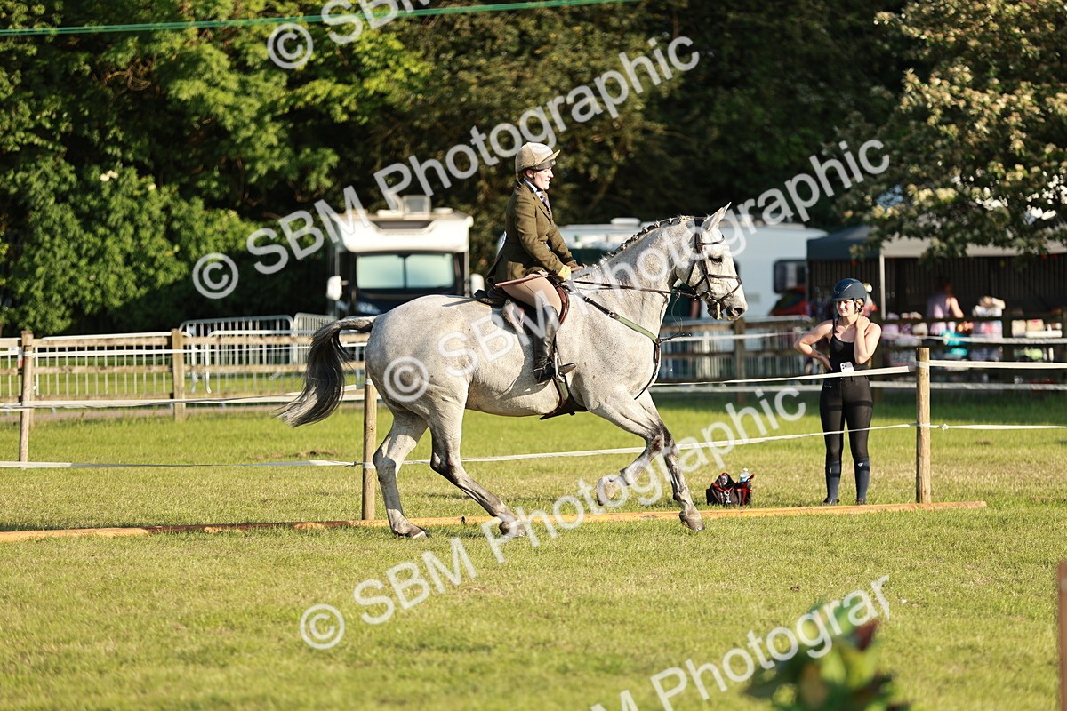 SBM_20449 - Class 117-119 - Sport Horse Working Hunter