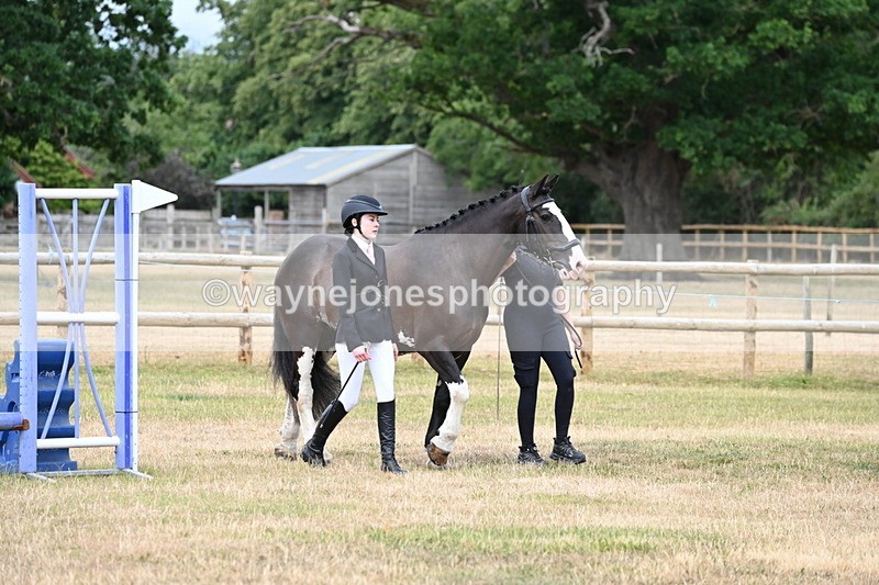 WJ6_4187 - Class 10 Coloured In-hand