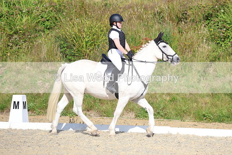 3E7A3352 - Class 2: Intro 1 2024 Section B