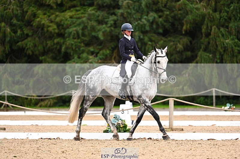 231020-165523-12422 - 316-I.ELLIE.JAY.BUMBLE-Henrietta.Ewell-DR