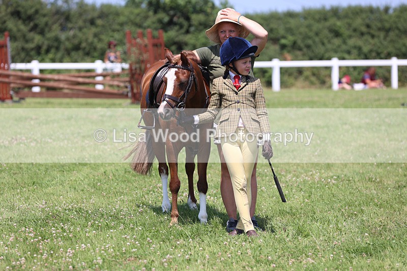 JPP_2898 - Class 21: Working Hunter 60cm
