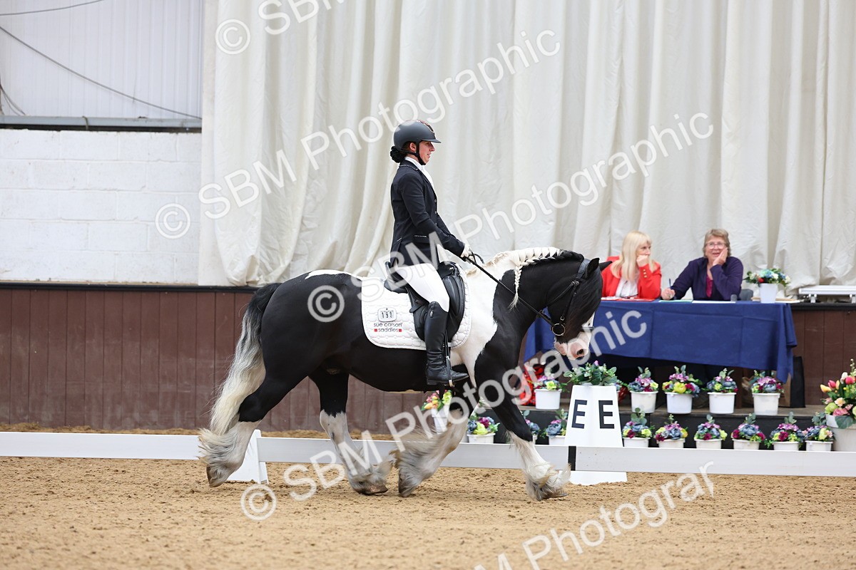 SBM_015995 - Class 15 - Novice FSM - 9.50 - 11.10