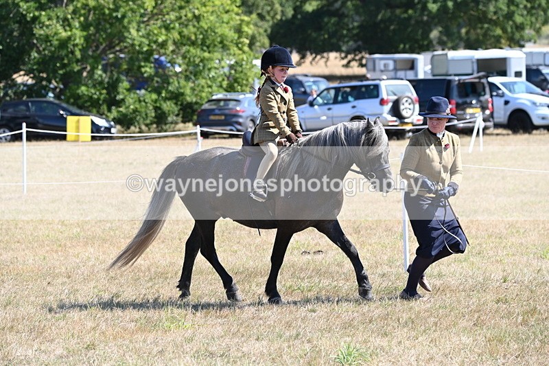 WJ6_7781 - Class 36 Lead Rein