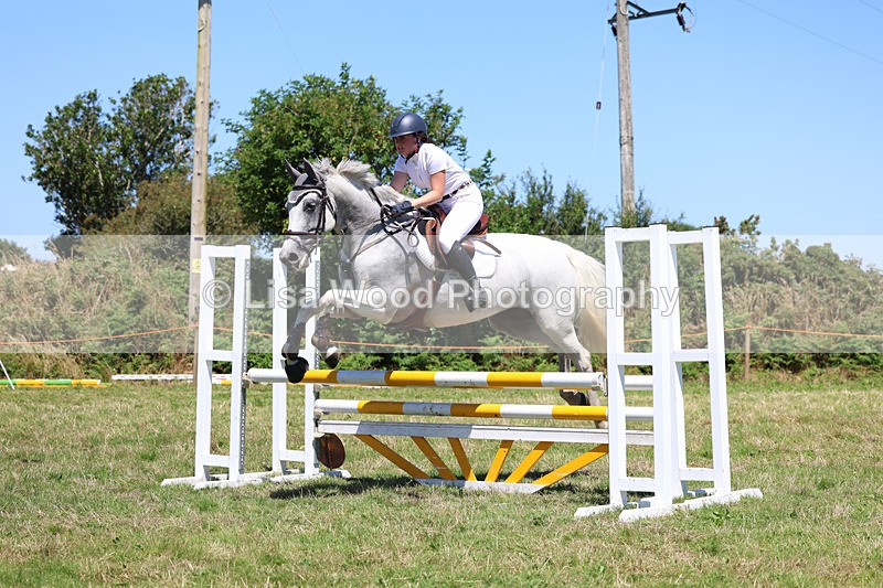 3E7A5618 - Class 9: Senior British Novice/90cm open